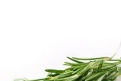 Troubles de la mémoire : un fléau mondial largement sous-estimé