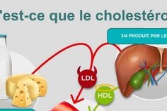 Cholestérol : un ennemi silencieux au cœur des maladies cardiovasculaires