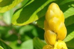 Constipation&nbsp;: causes, conséquences et solutions naturelles