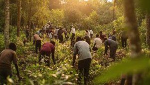 Croissance et écologie : le Gabon mise sur un avenir durable