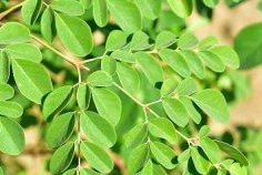 Rétention d’eau&nbsp;: pourquoi vos pieds gonflent après avoir bu de l’eau