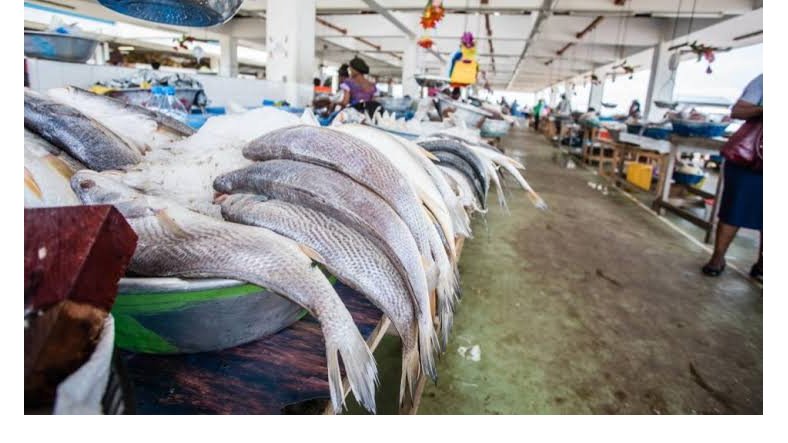 Pêche&nbsp;: Libreville réclame un partenariat plus équitable avec l’Union européenne