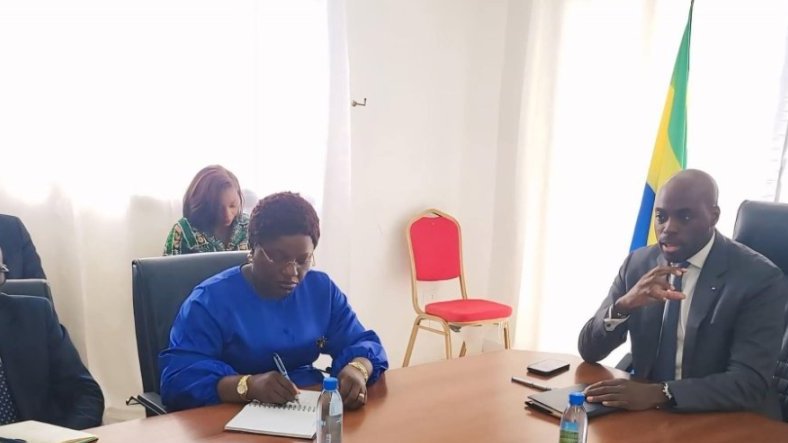 Fibre optique : le Gabon mise sur une extension nationale de 1 800 km