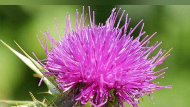 Les dangers de l’alcool et des drogues&nbsp;: un enjeu de santé publique