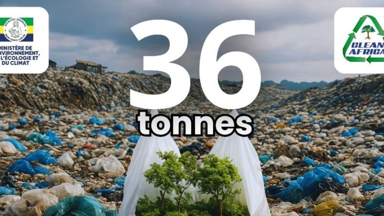 Le ministère de l’Environnement et Clean Africa célèbrent la Journée mondiale sans sacs plastiques