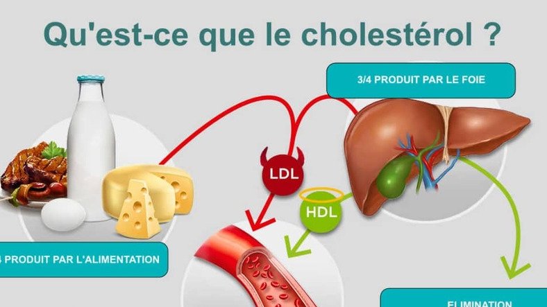 Cholestérol : un ennemi silencieux au cœur des maladies cardiovasculaires