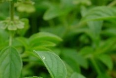 « Je ne mange pas sucré… et pourtant ma glycémie explose »