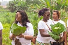Agriculture / la Docteure Estelle Ondo lance le concept &laquo;&nbsp;le potager-maison&nbsp;&raquo; pour encourager l’agriculture urbaine