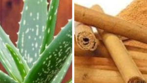 Le diabète, une maladie en pleine expansion&nbsp;: la phytothérapie comme alliée