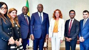 Santé : le CEO de 24/7 Assistance reçu par le président gabonais