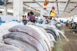 Pêche&nbsp;: Libreville réclame un partenariat plus équitable avec l’Union européenne
