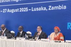 Paludisme :  les ministres africains appellent à une mobilisation urgente 