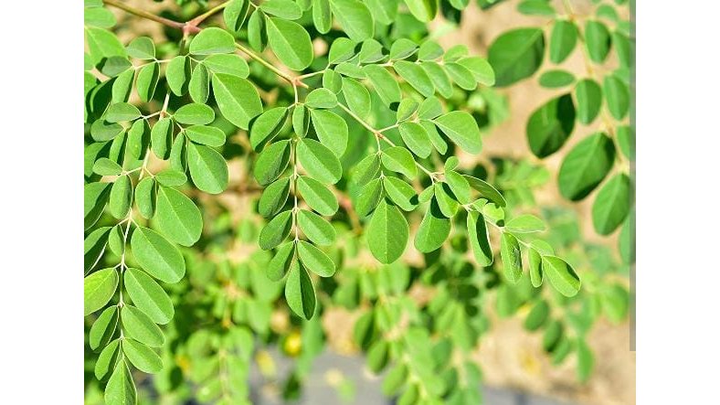 Rétention d’eau&nbsp;: pourquoi vos pieds gonflent après avoir bu de l’eau