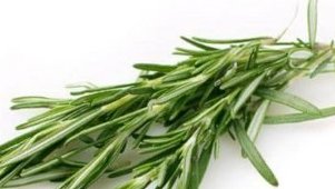 Troubles de la mémoire&nbsp;: un fléau mondial largement sous-estimé