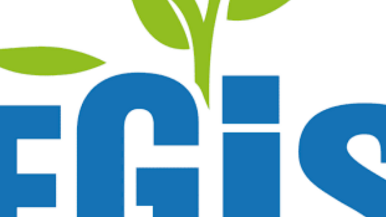 FGIS : des véhicules de l’État utilisés dans un réseau clandestin de location ?