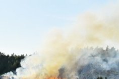 Santé publique&nbsp;: plus de 200 tonnes de PCB identifiées sur le site de Sogara à Port-Gentil