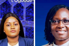 Bongoville et Boumango : les indépendants de REAGIR font sensation aux sénatoriales