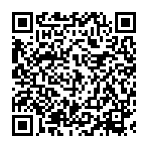 qrcode:Le-Gabon-signe-deux-accords-majeurs-a-l-occasion-de-la-32%E1%B5%89-Assemblee-annuelle.html